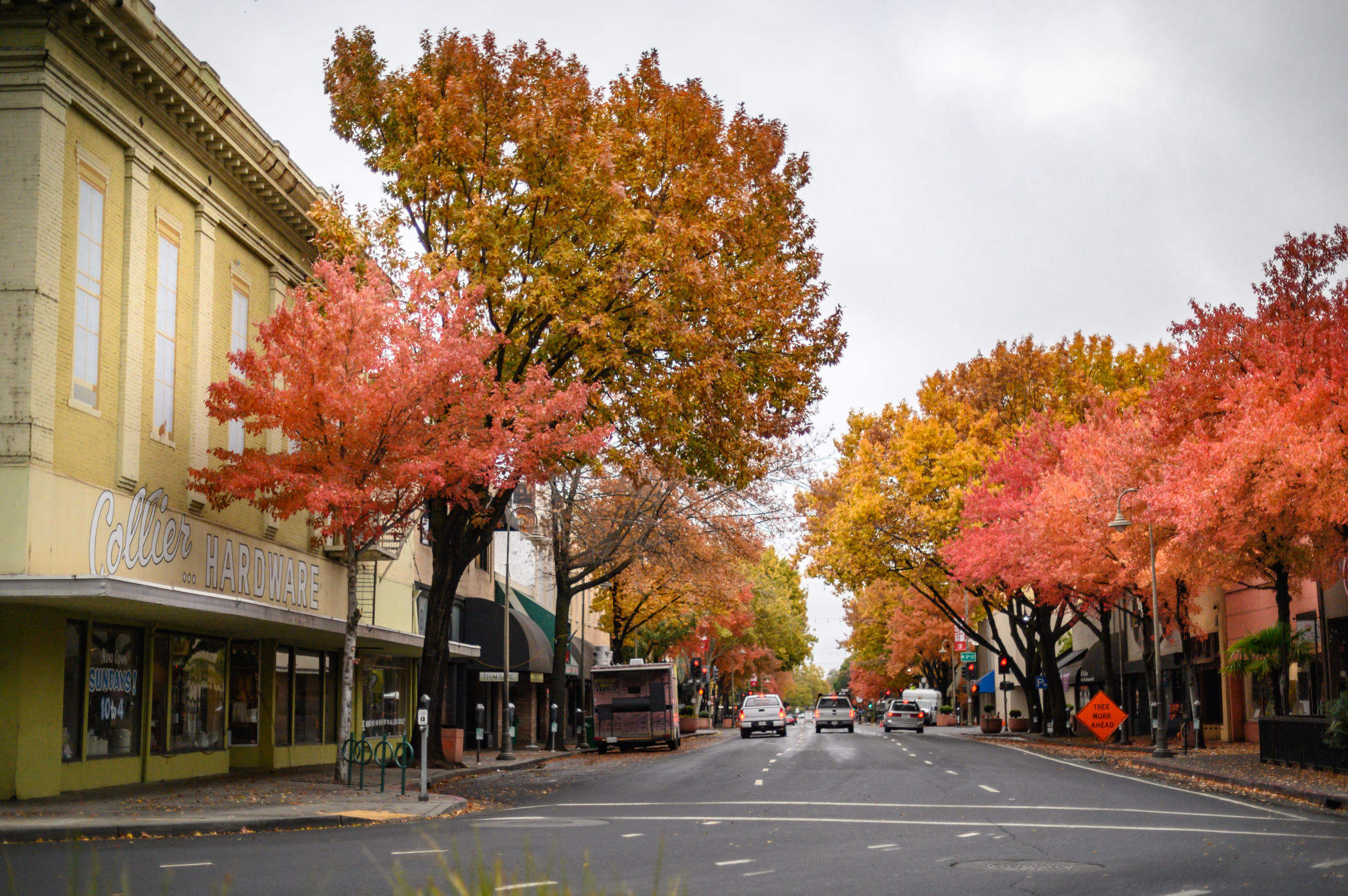 Downtown Chico, California in fall with colorful trees lining the street